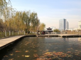 蘭州市雁灘公園提升改造景觀工程